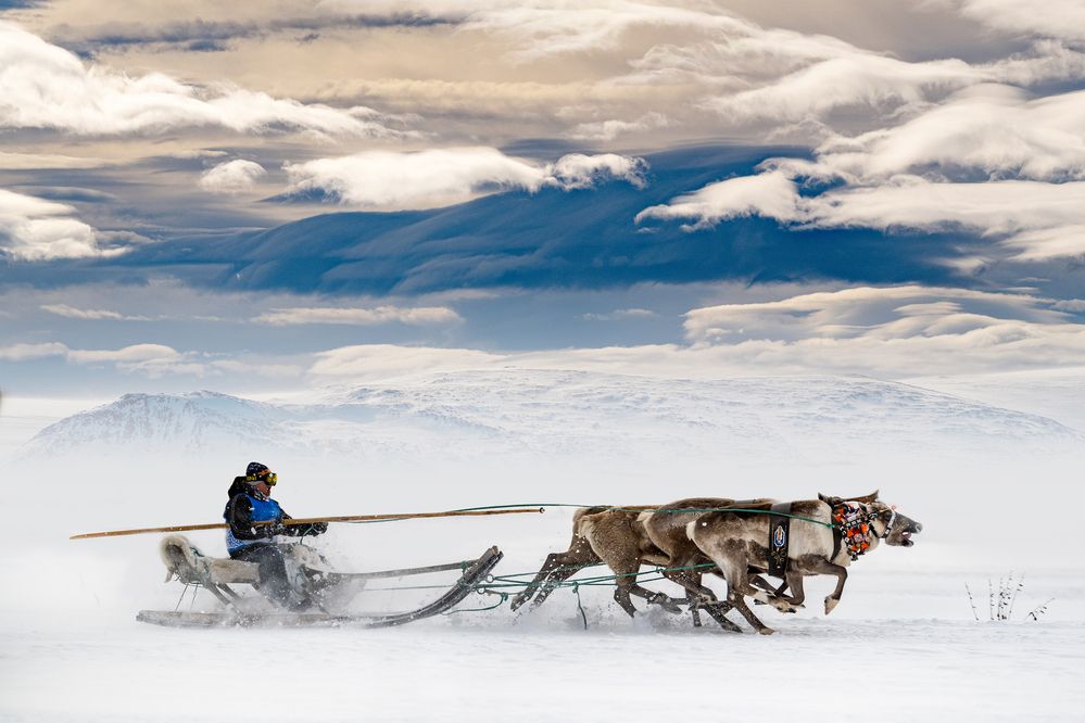 Photograph by ARTEM KORZHUKOV