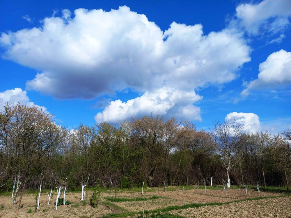 Photograph by Володимир Федишин