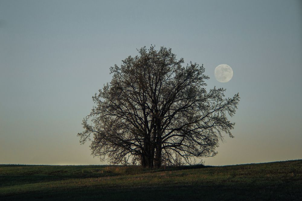 Photograph by Stanislav Nilsson