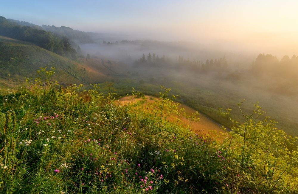 Photograph by Roman Dmitriev
