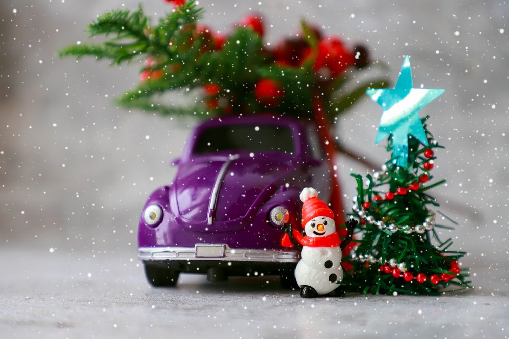 Photograph by Елена Сиднина