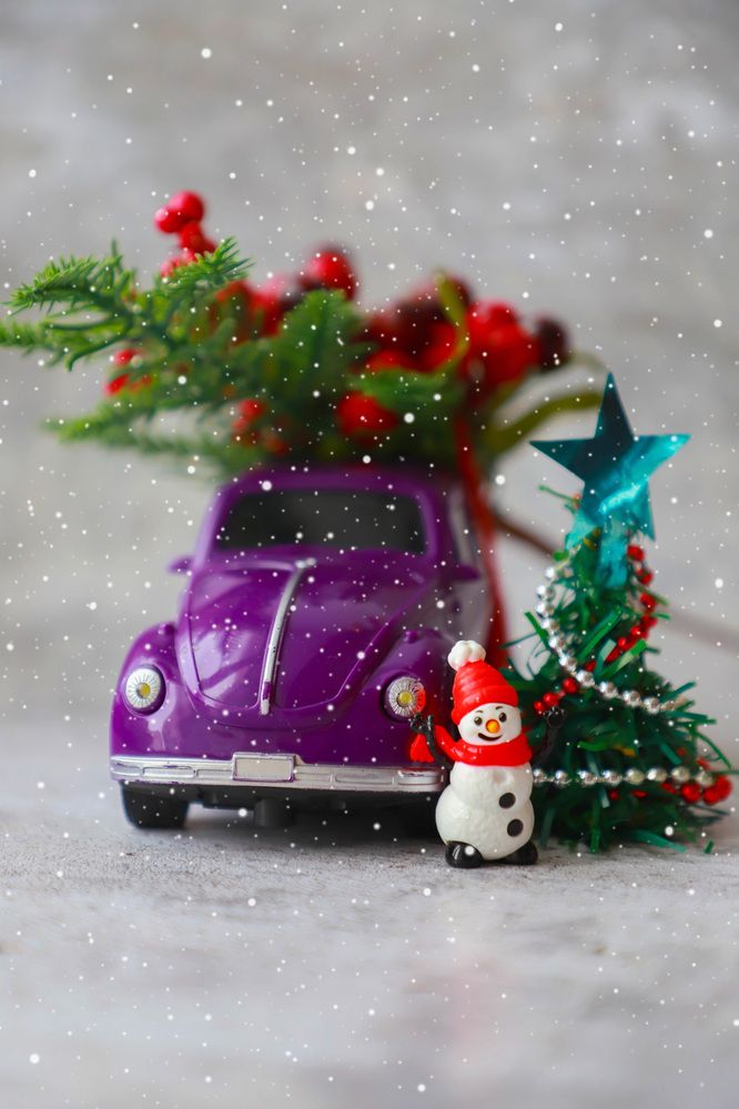 Photograph by Елена Сиднина