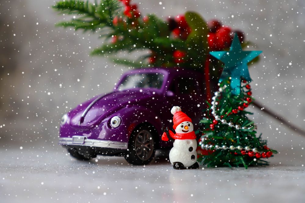 Photograph by Елена Сиднина