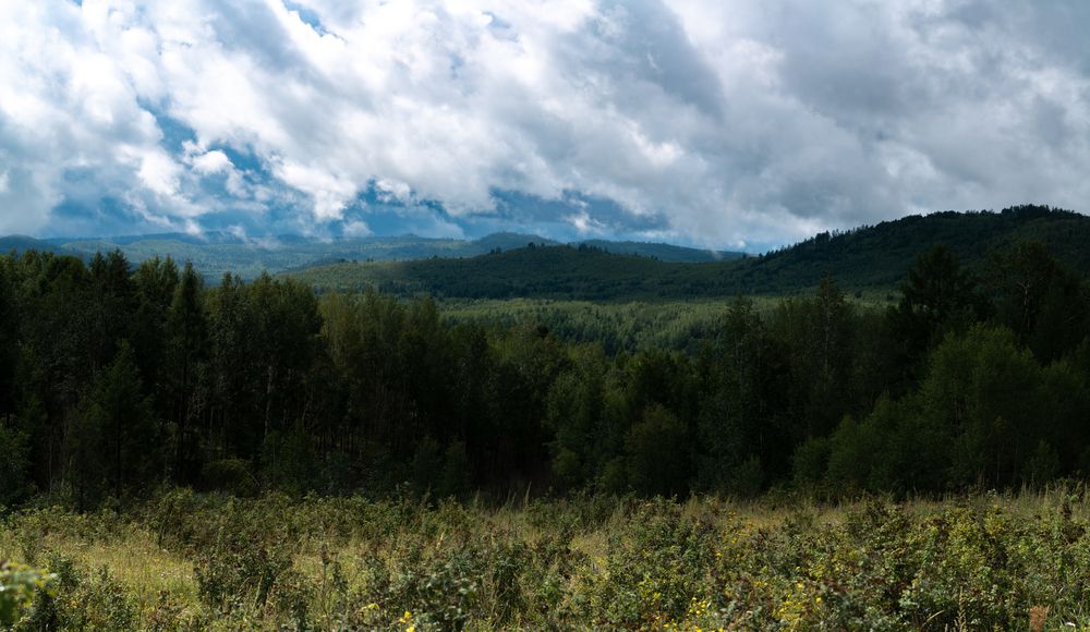 Photograph by Данил Баглаев