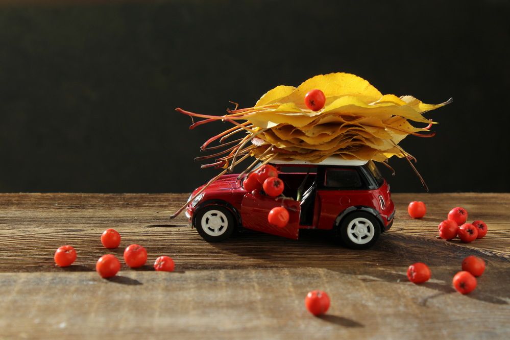 Photograph by Сироткина Нина