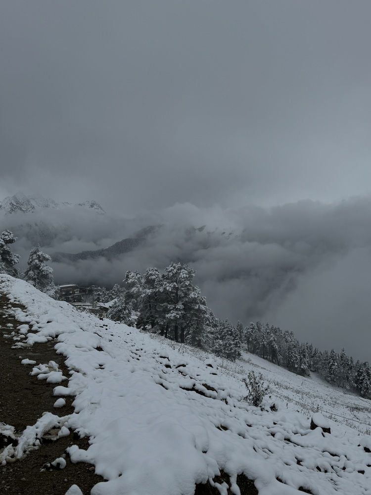 Photograph by Лариса