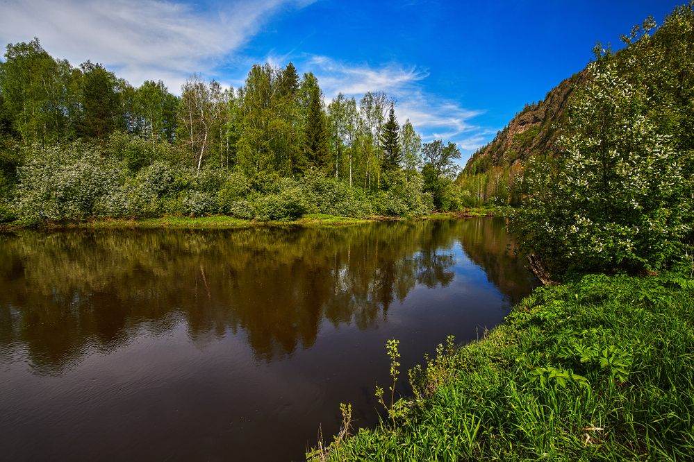 Черёмуховые берега.