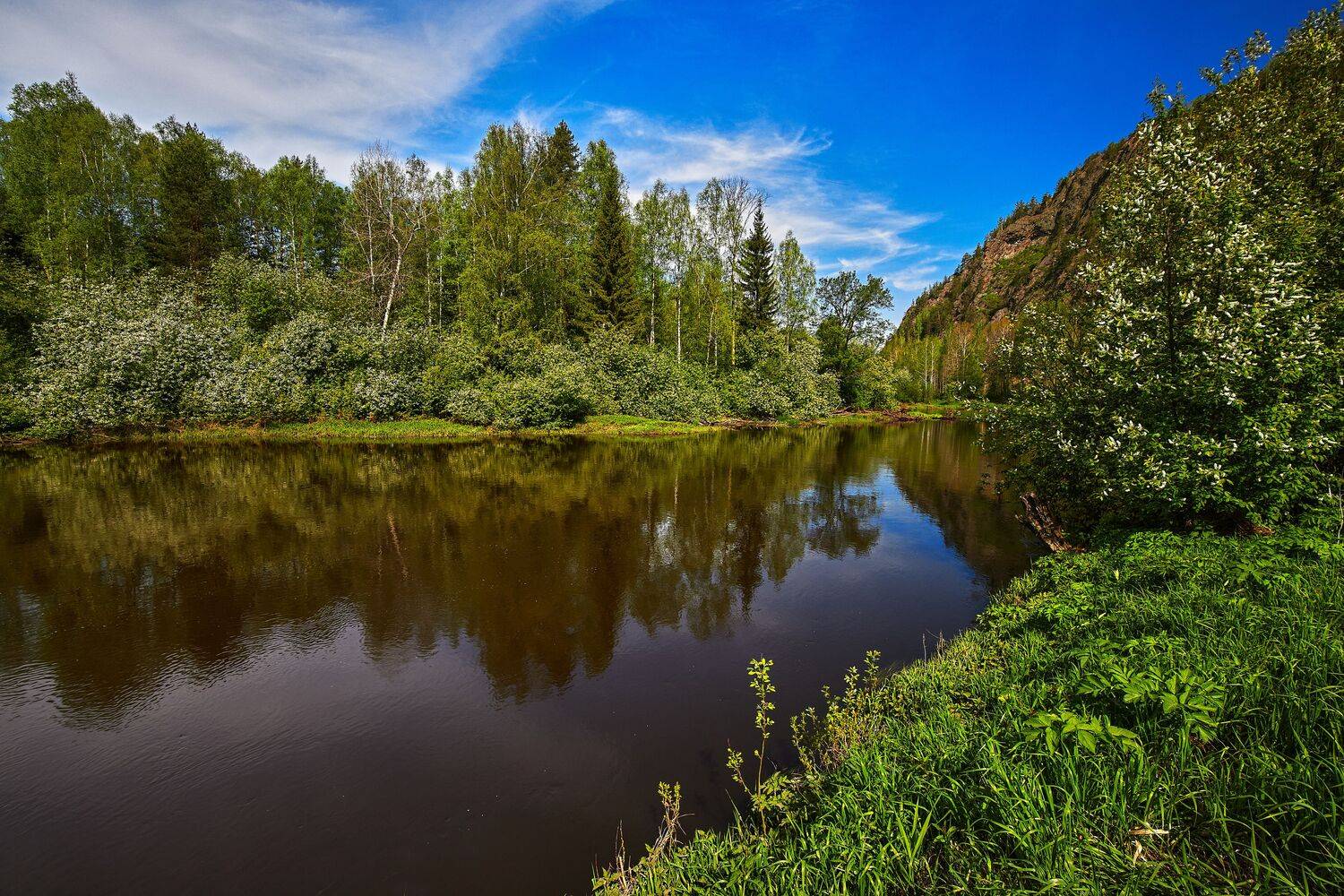 Черёмуховые берега. Черёмуховые берега.