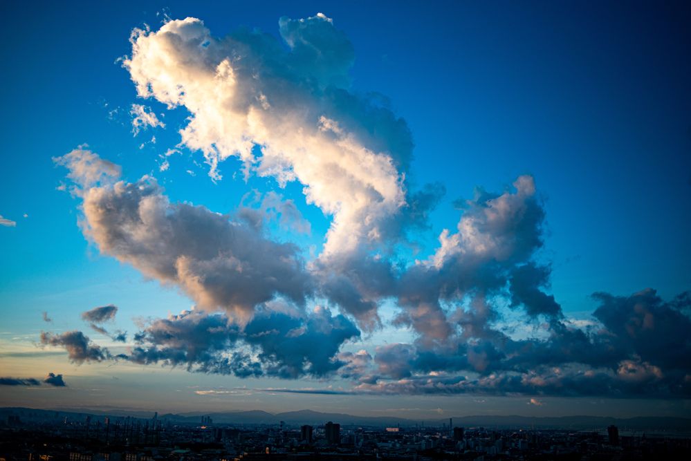 Фотография автора Mutsuaki