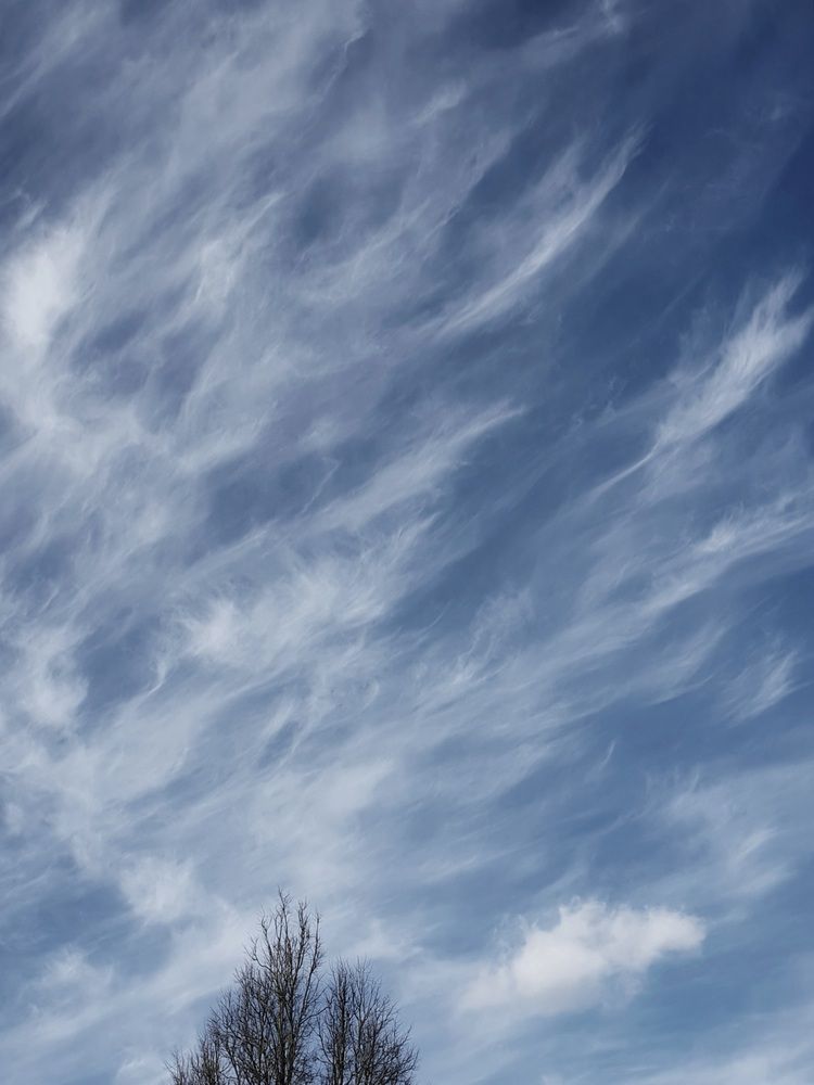 Фотография автора Ирина Дроздова