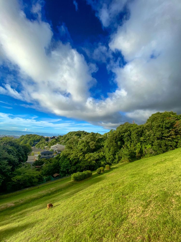 Фотография автора Mutsuaki