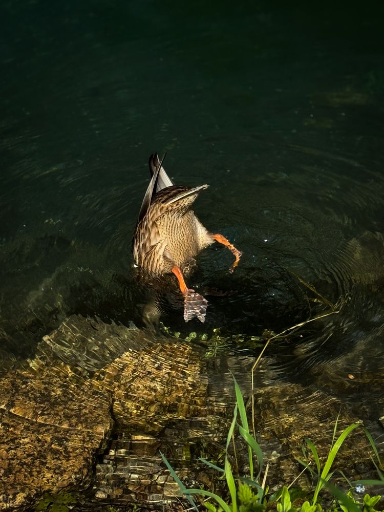 Photograph by Ярослава Васильева