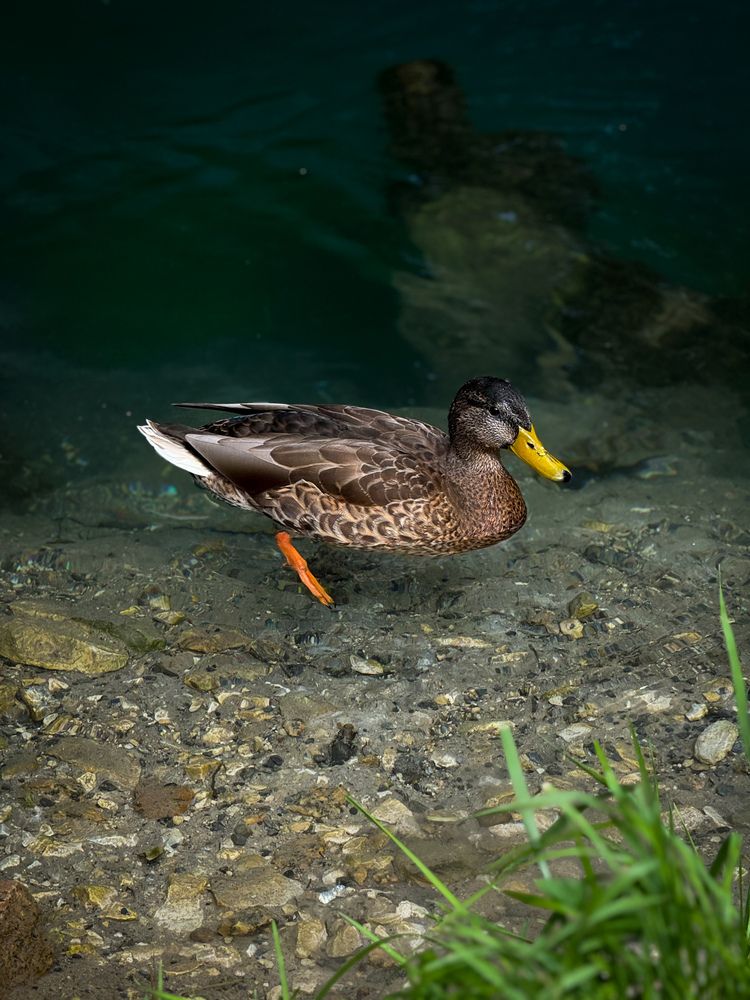 Photograph by Ярослава Васильева
