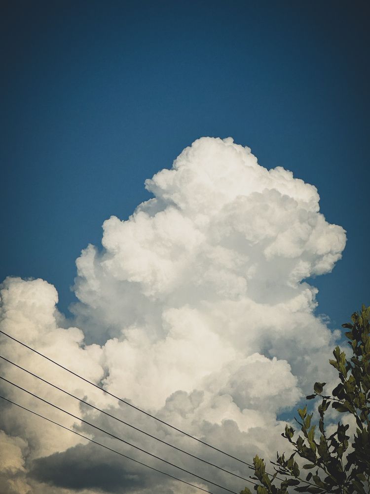 Photograph by Виктория