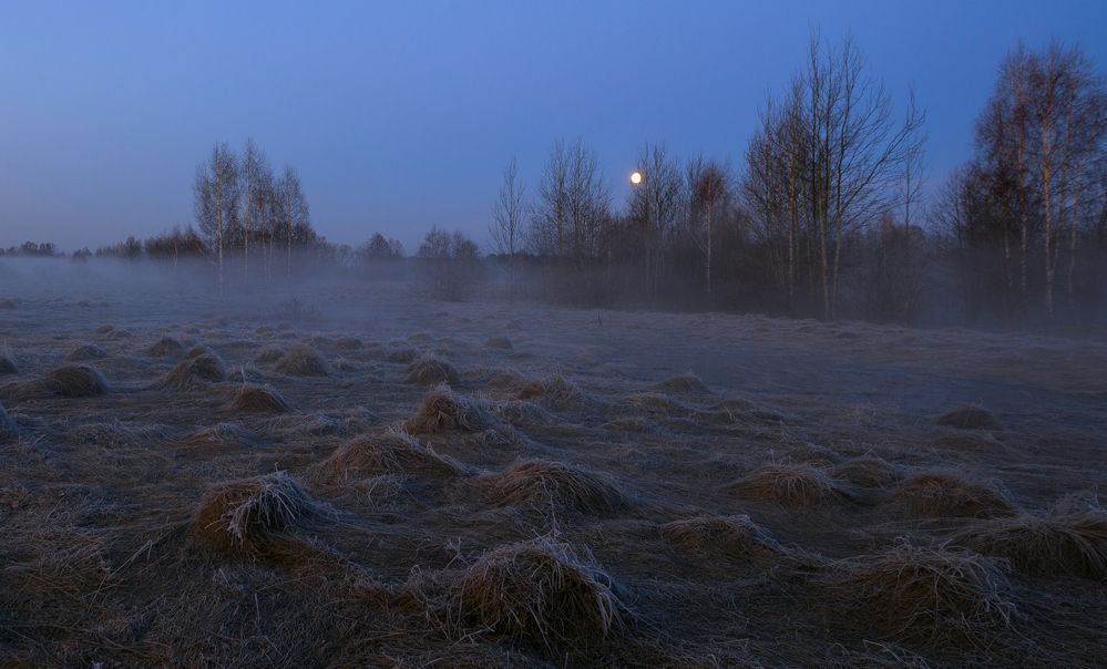 Photograph by Вадим Качанов