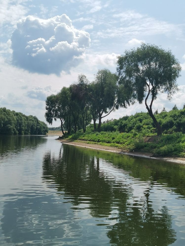 Река Нара. Перед впадением в Оку.