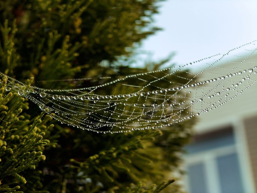 Photograph by Дарина Ворошилова