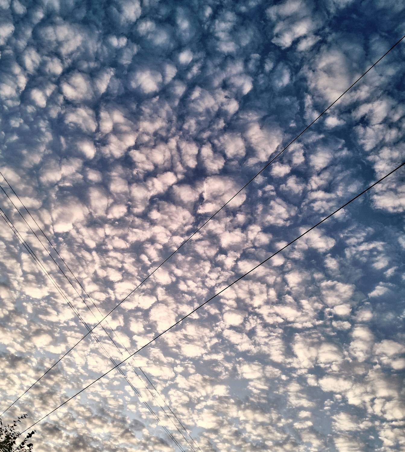 Photo #12548657