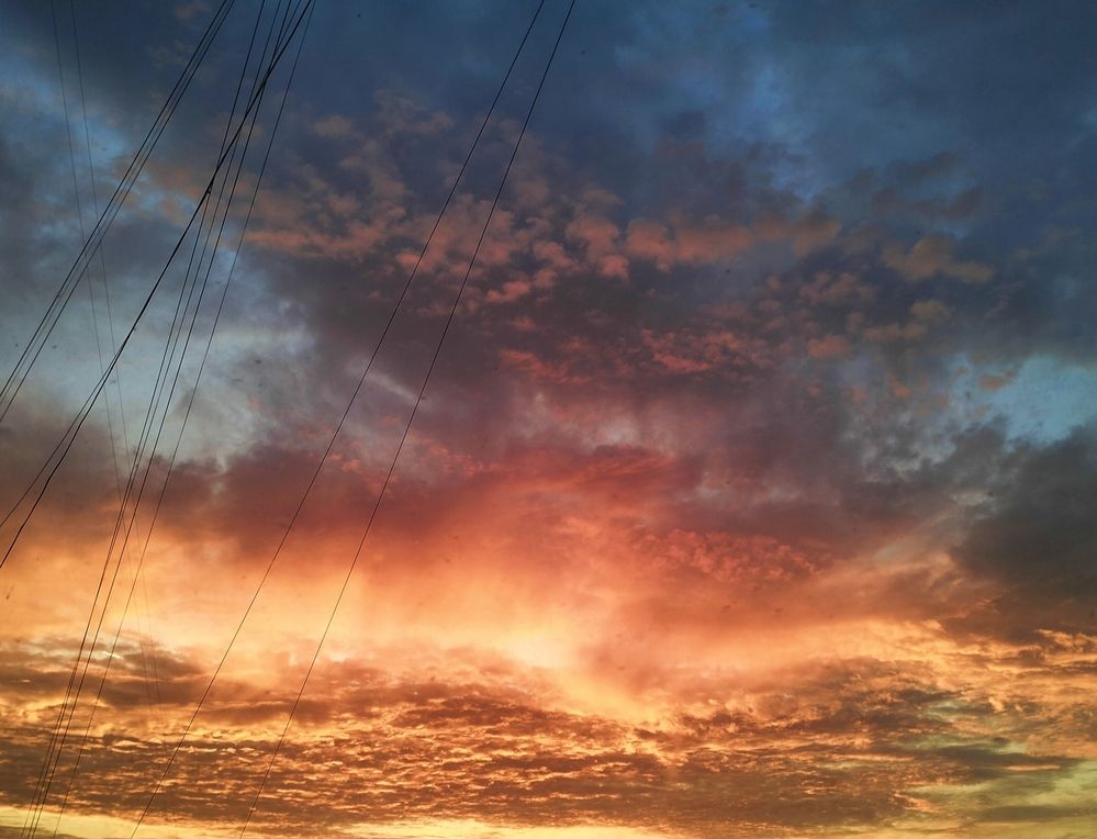 Photo #12548663