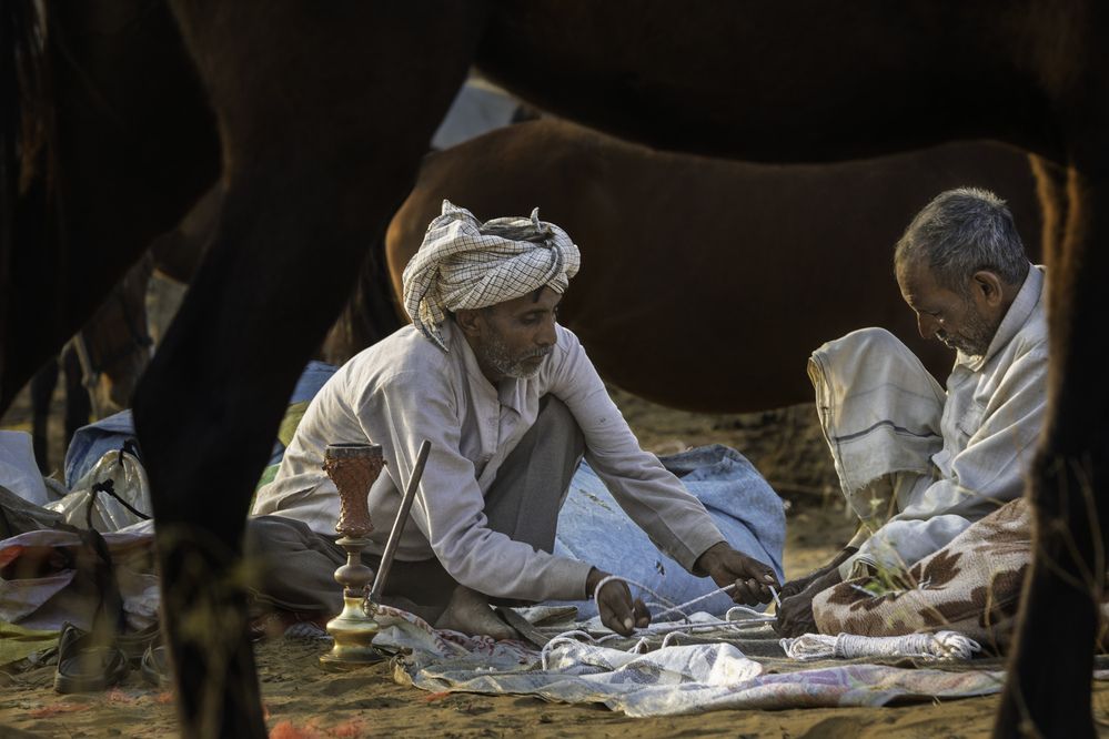 Life of Camel herders