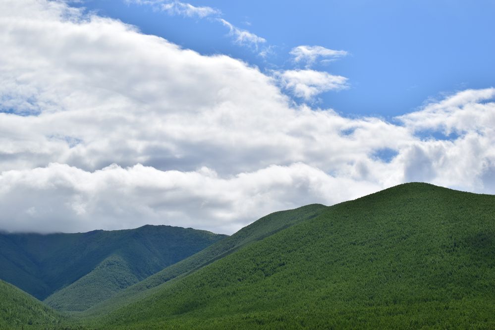 Photograph by Людмила Ивашина