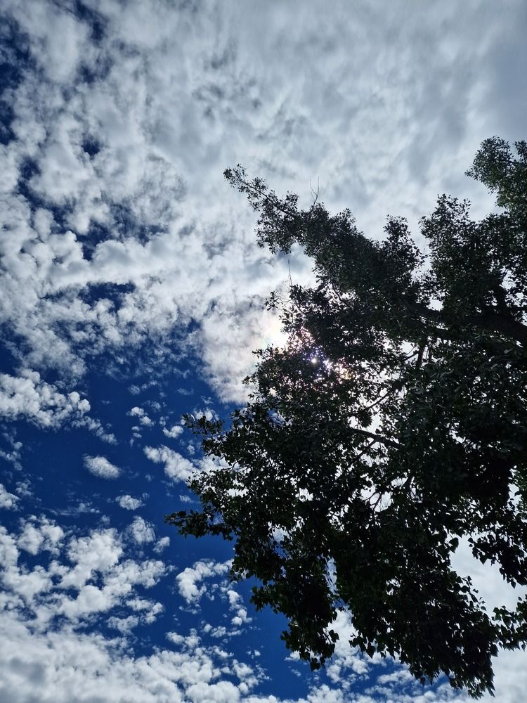 Photograph by Ирина Рудь