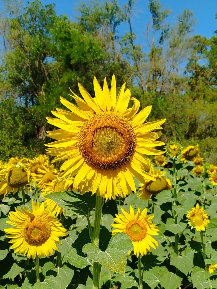 Photograph by Елизавета Слесарева