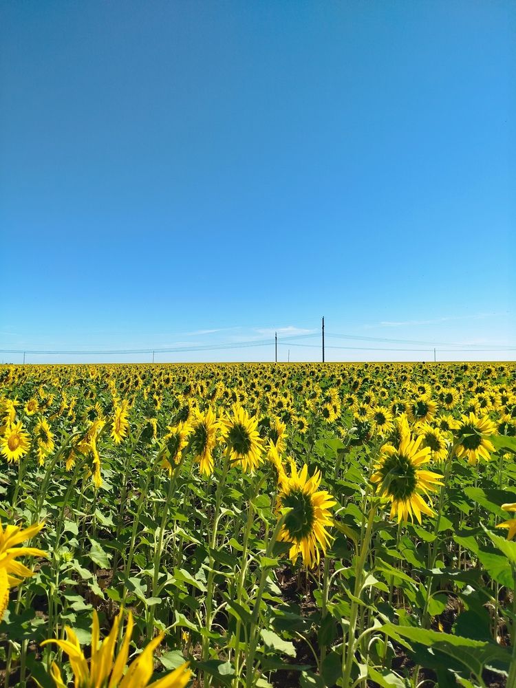Photograph by Елизавета Слесарева