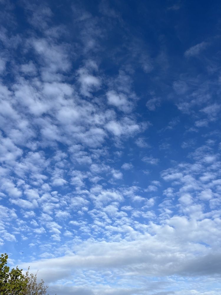 Photograph by Дора Пандора