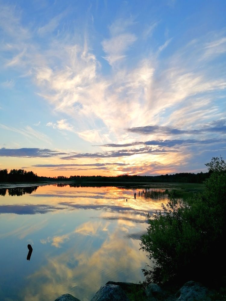 Небесное крыло