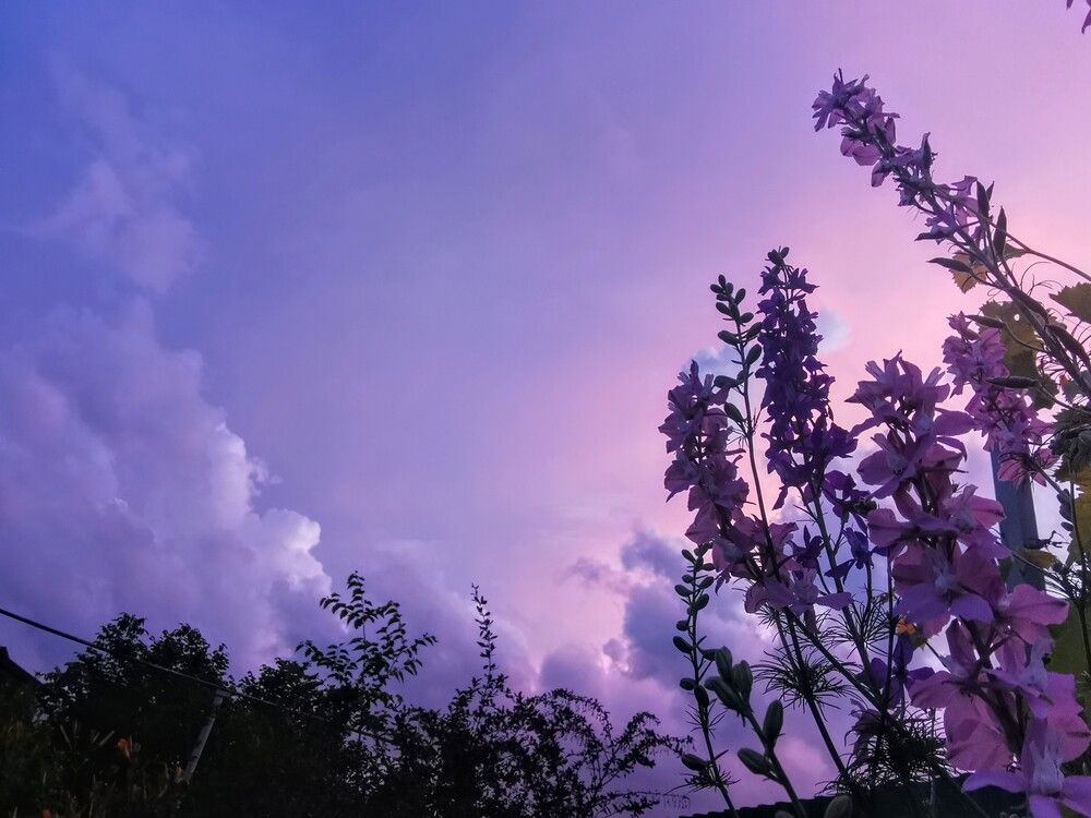 Фотография автора Татьяна Гончарова