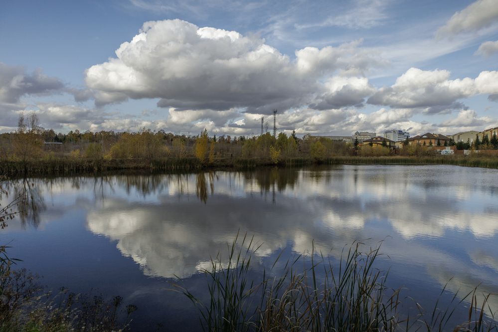 Фотография автора Кушпилева Марина