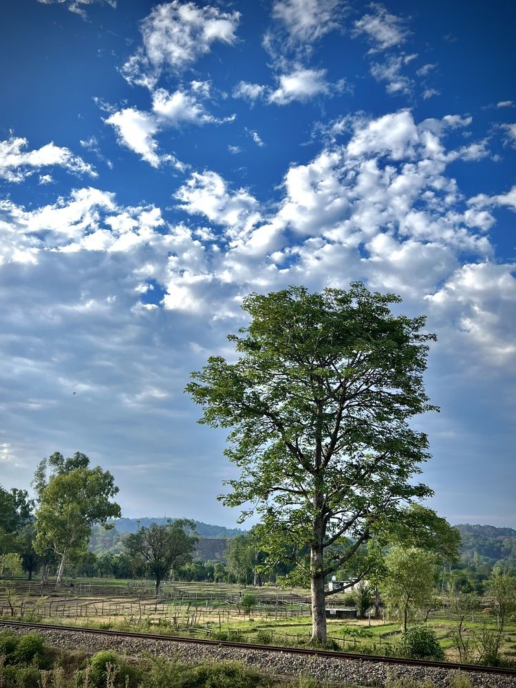 Photograph by Sharma Dr Megha