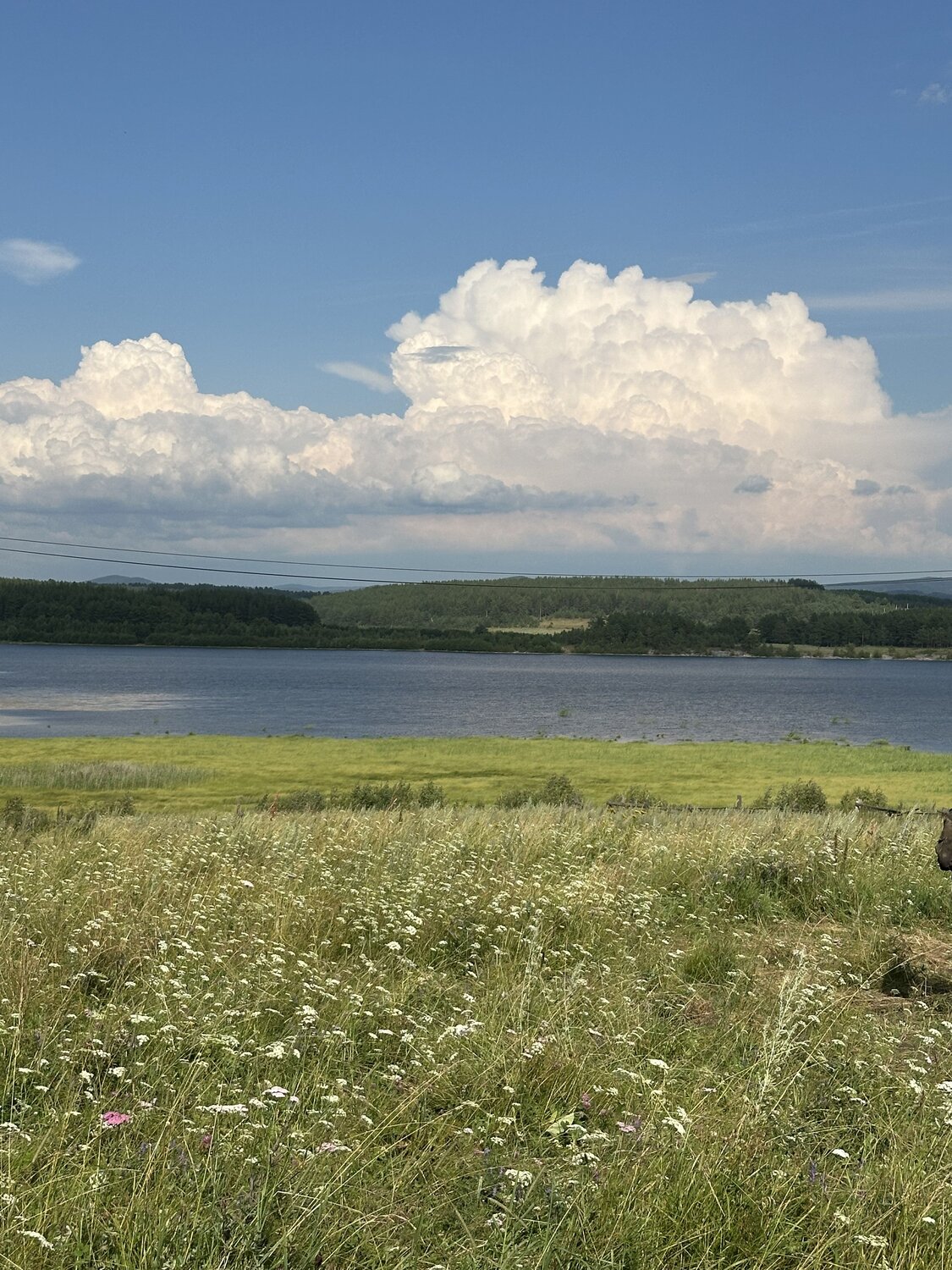 Photo #12548898