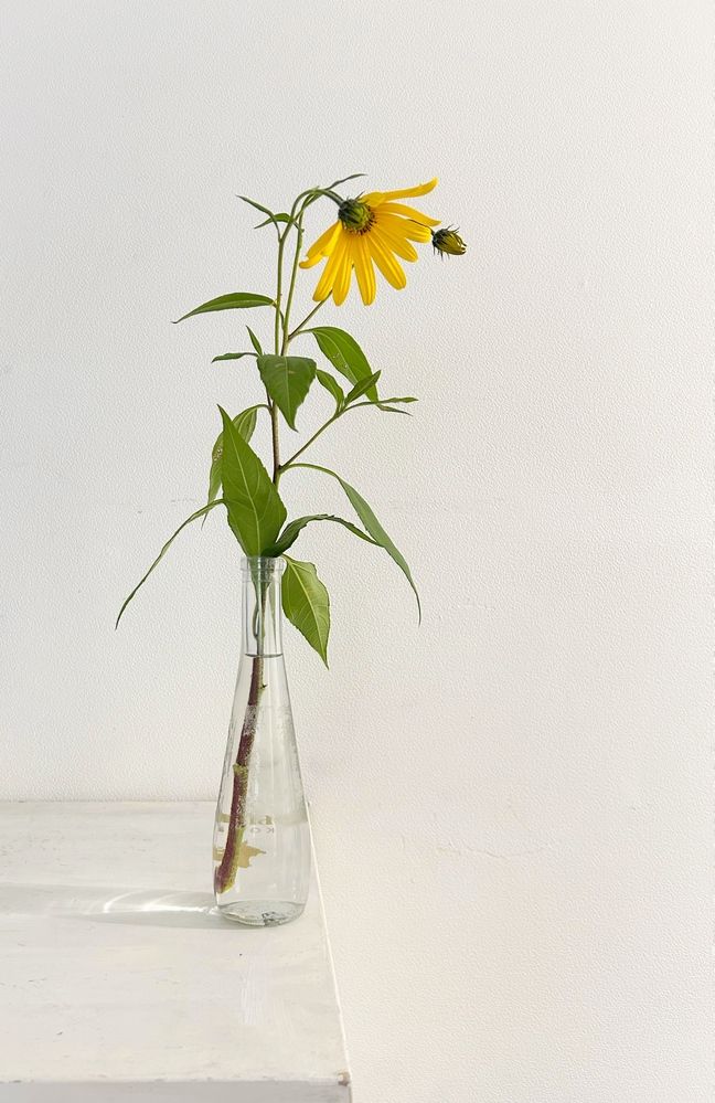 Photograph by Swetlana Smiryagina