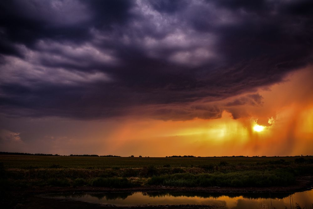 At the Gate of the Storm