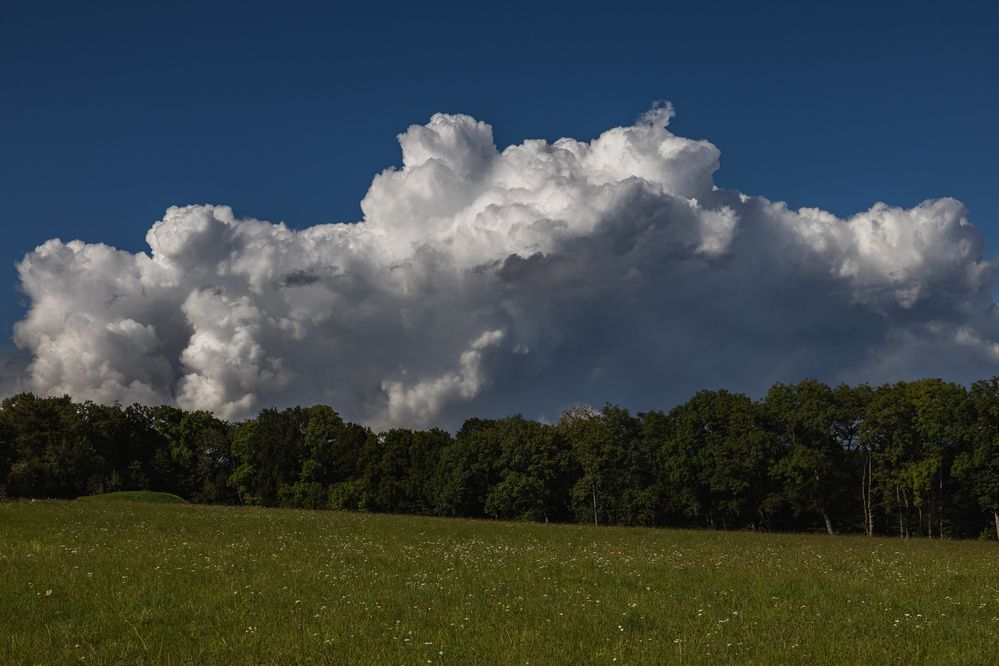 Photograph by Ed Simon