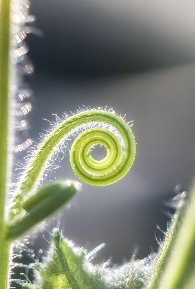 Photograph by Наталья Островцева