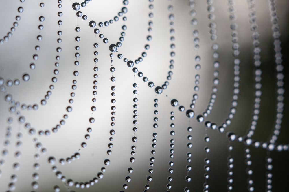 Photograph by Наталья Островцева