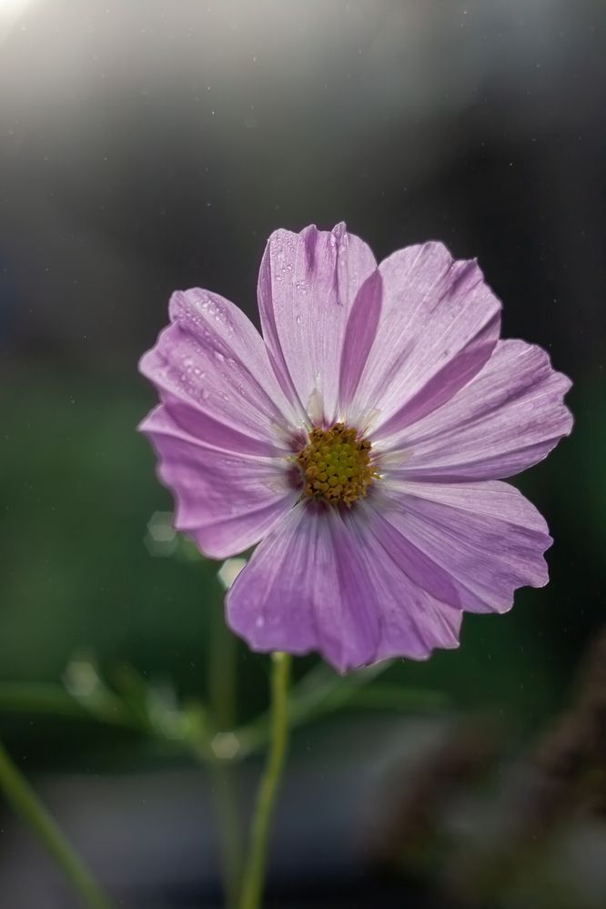 Photograph by Наталья Островцева