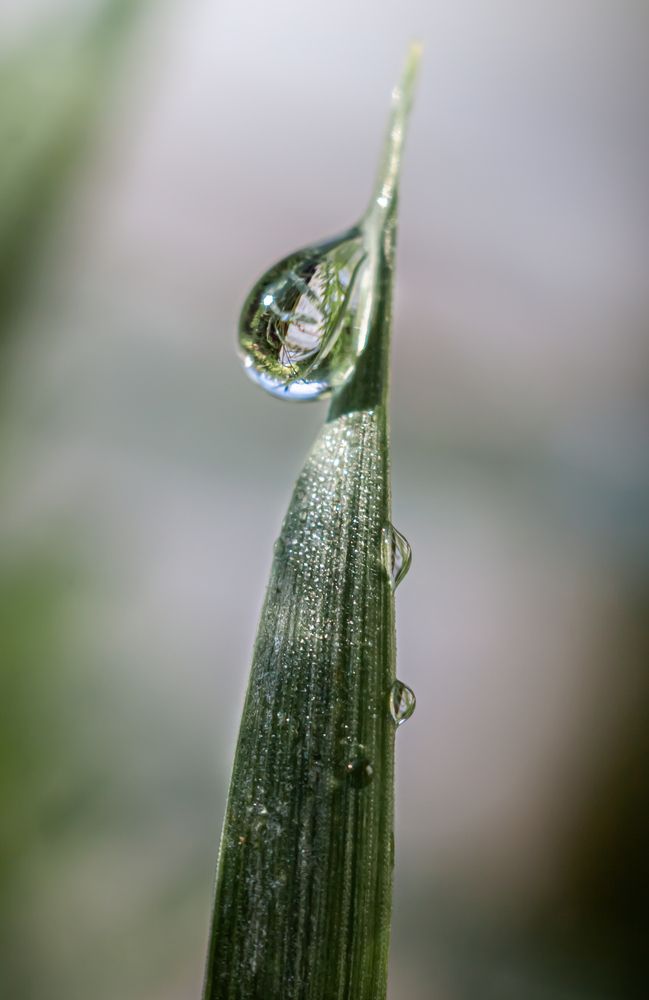 Photograph by Наталья Островцева