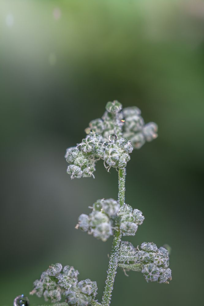 Photograph by Наталья Островцева