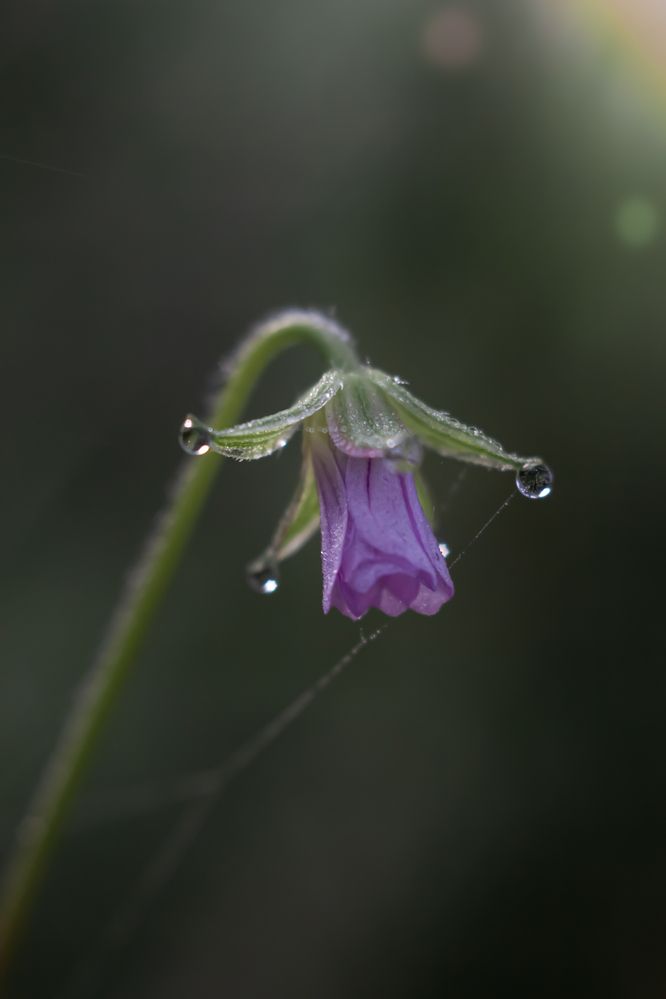 Photograph by Наталья Островцева