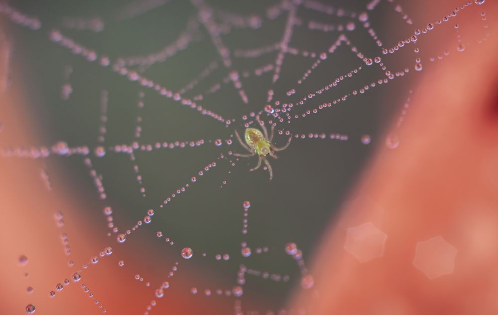 Photograph by Наталья Островцева