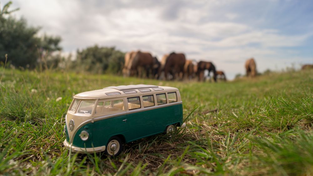 Фотография автора Роман Чернышов