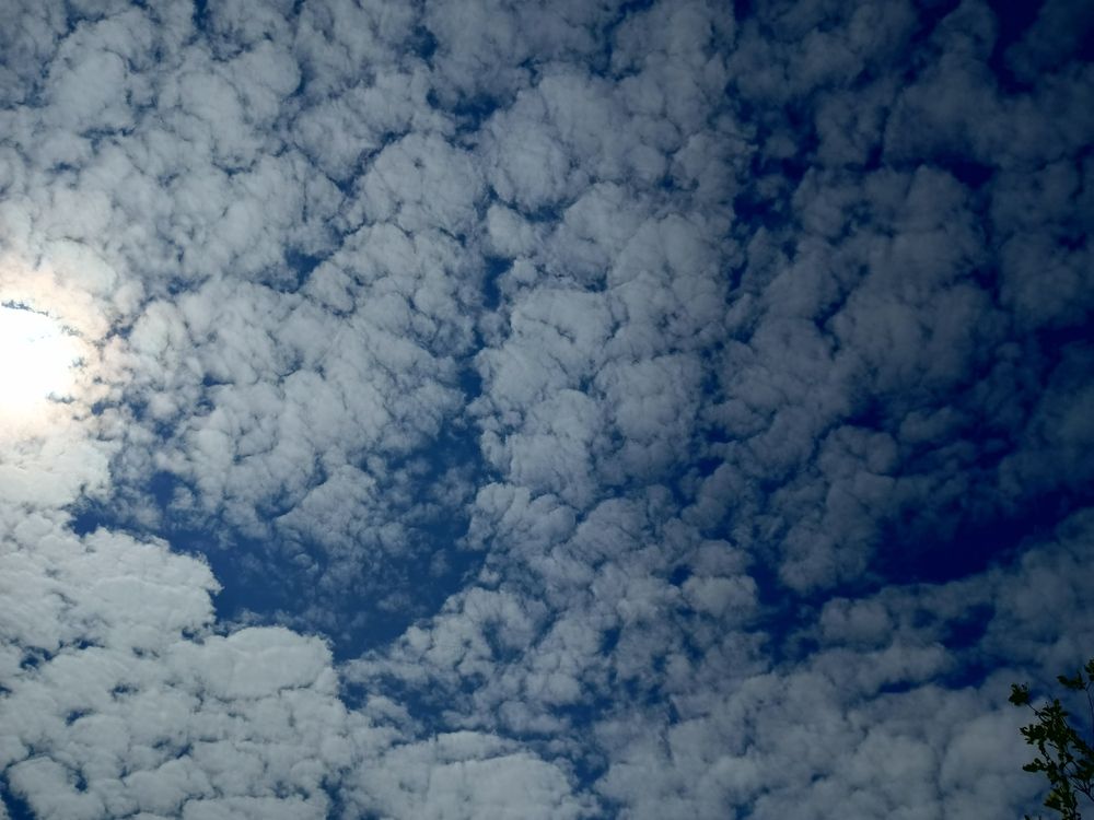 Фотография автора Неля Кочурова