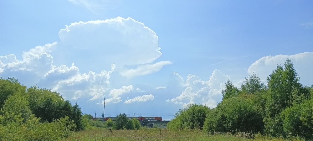 Фотография автора Неля Кочурова