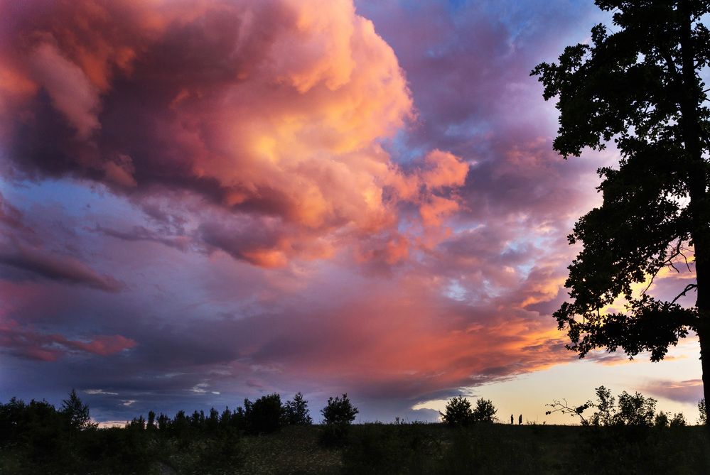 Photograph by София Стрыгина