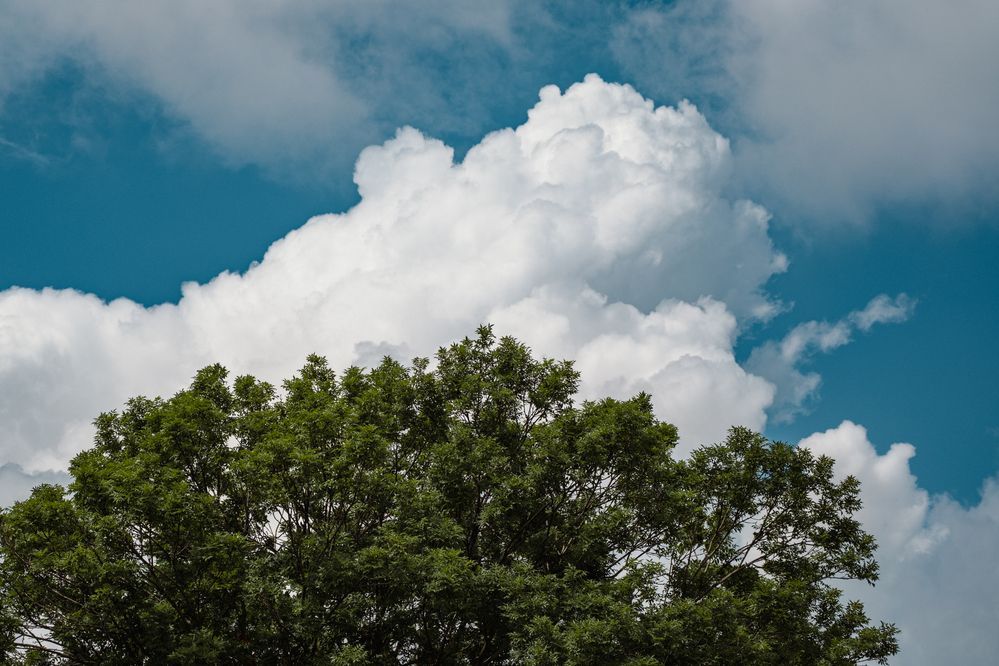 Photograph by Anastasia