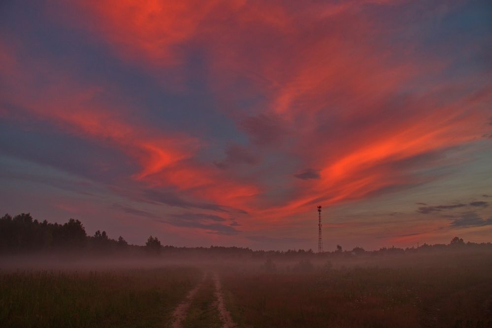 Фотография автора Илья К